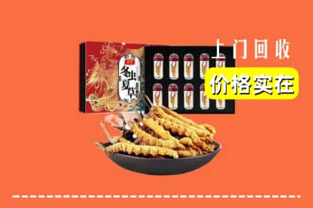 坊子区回收冬虫夏草